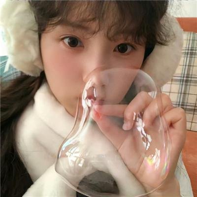鲨与鲸